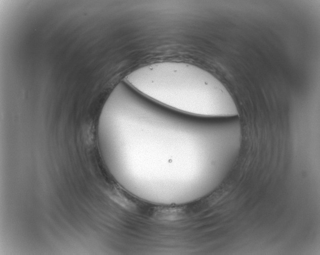 X0000067910081200604131119