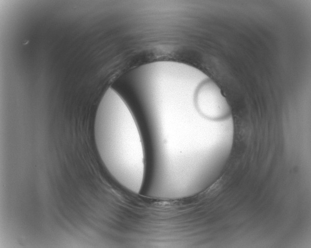 X0000067910082200604131120