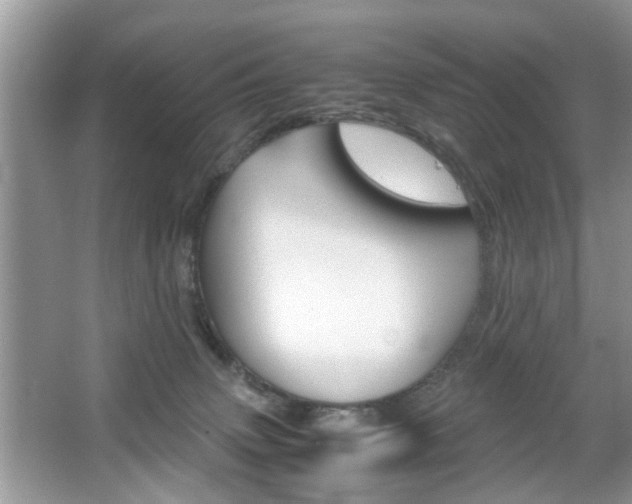 X0000067910083200604131120