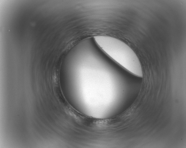 X0000067910084200604131120