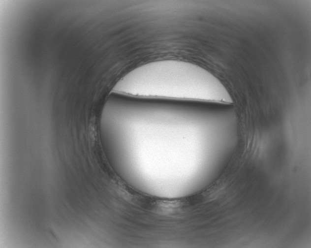 X0000067910085200604131120