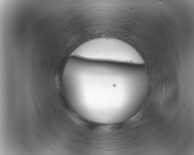 X0000067910086200604131120