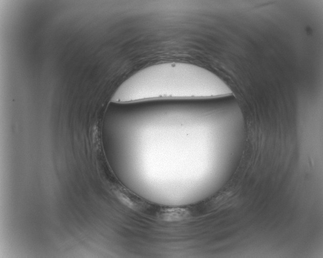 X0000067910087200604131120