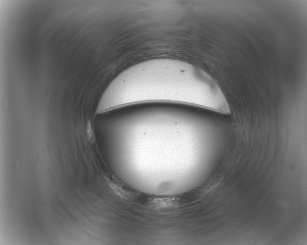 X0000067910089200604131120