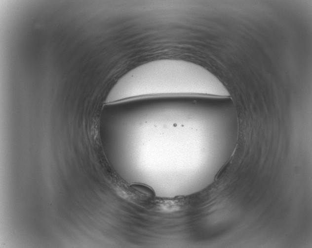 X0000067910091200604131120