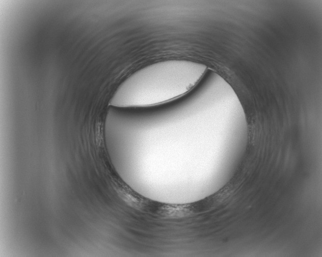 X0000067910093200604131120