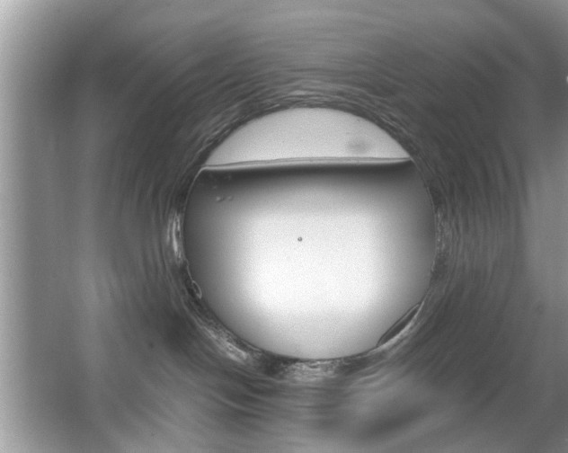 X0000067910094200604131120