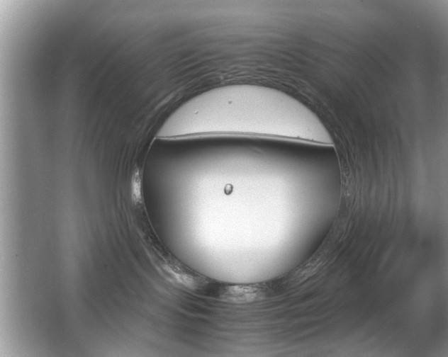 X0000067910095200604131120