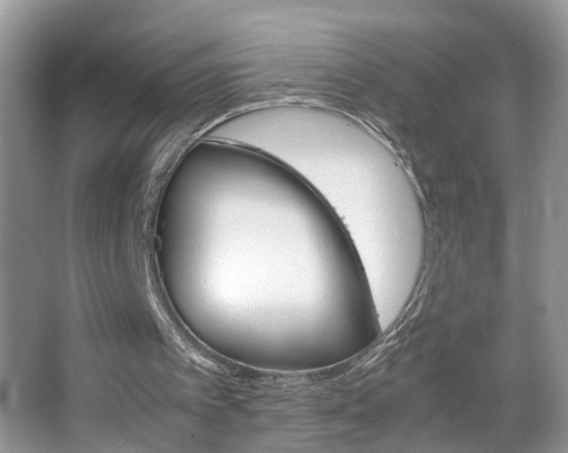 X0000067910097200604131119