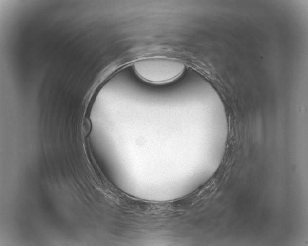 X0000067910099200604131119