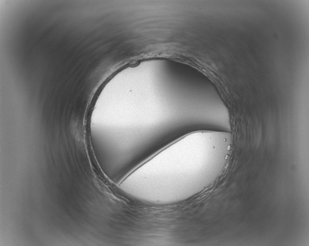 X0000067910100200604131119