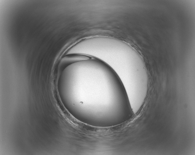 X0000067910101200604131119