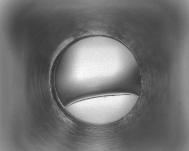 X0000067910104200604131119