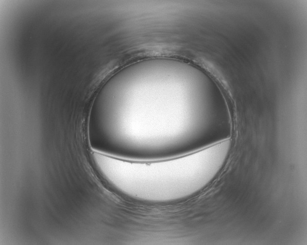 X0000067910105200604131119