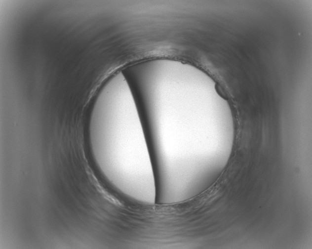 X0000067910106200604131119