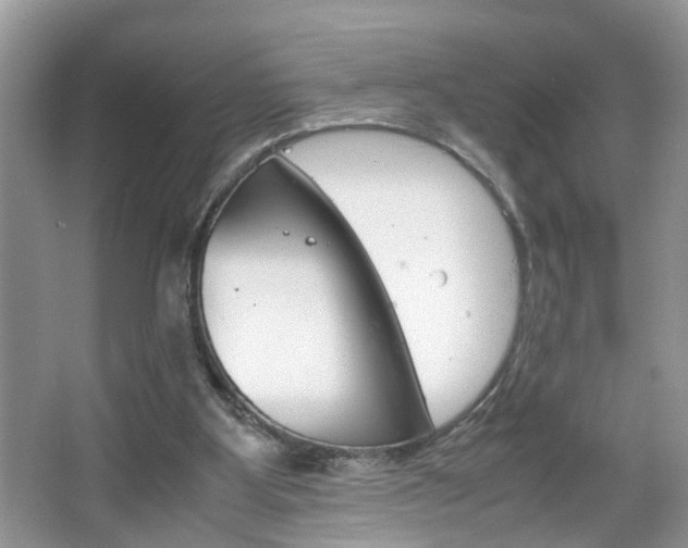 X0000067910107200604131119