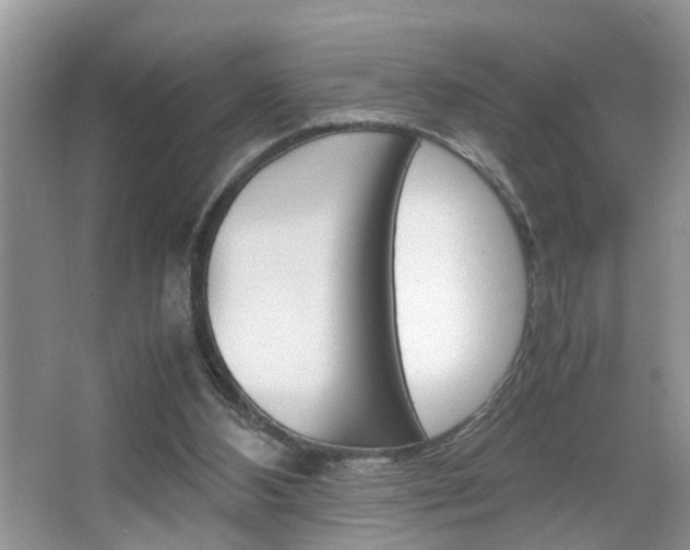 X0000067910108200604131119