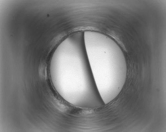 X0000067910110200604131119