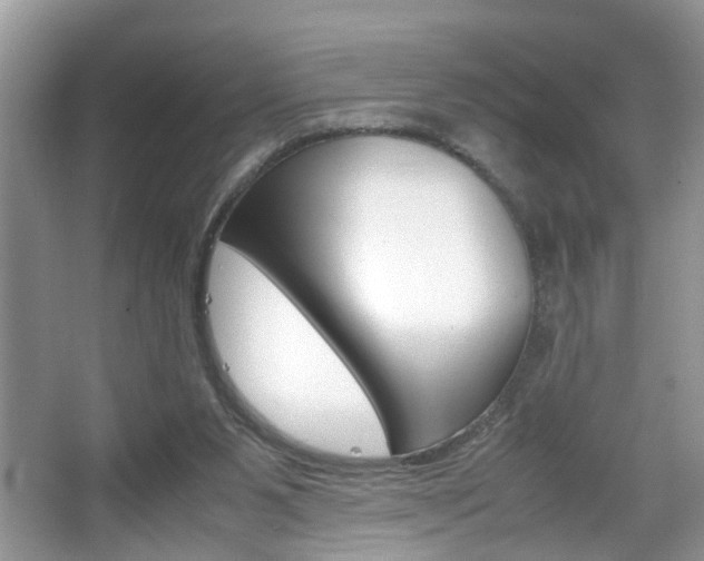 X0000067910111200604131119