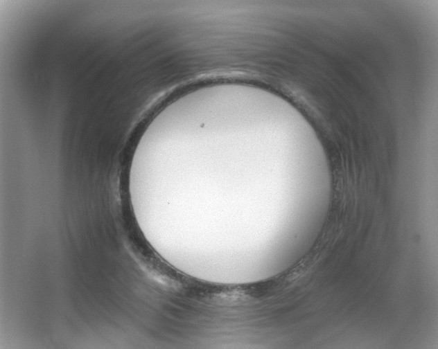 X0000067910112200604131119