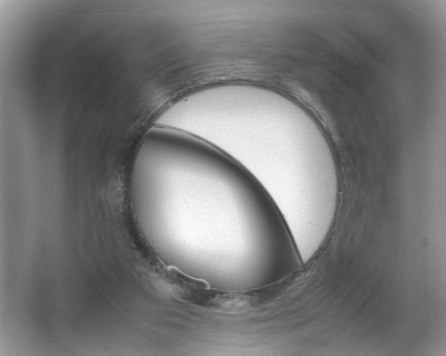 X0000067910113200604131119