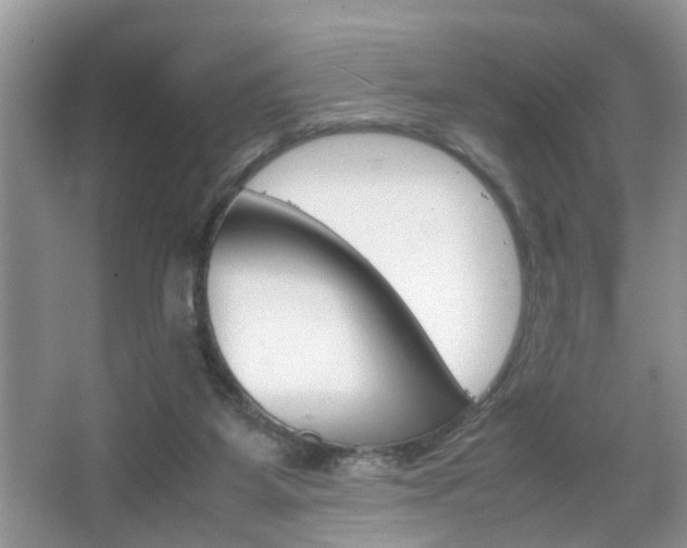 X0000067910115200604131119