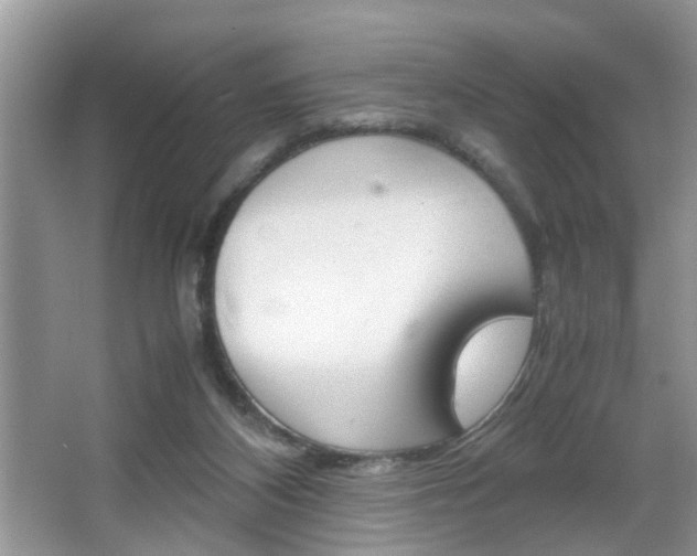 X0000067910116200604131119