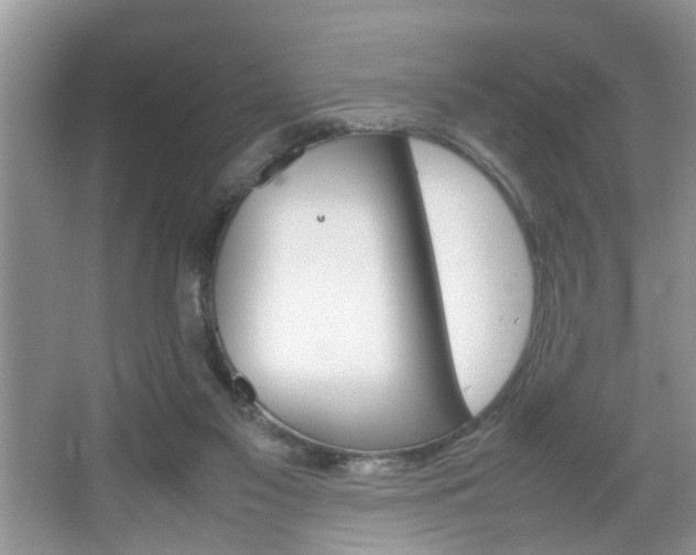 X0000067910117200604131119