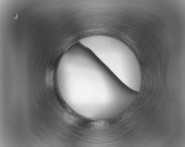 X0000067910118200604131119