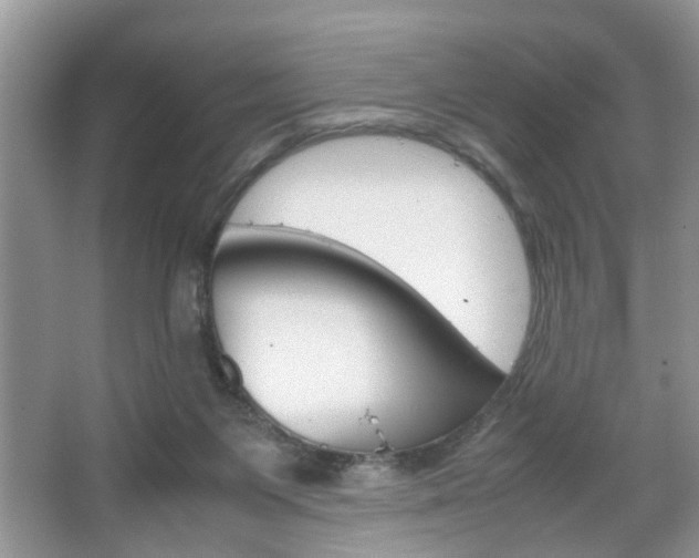 X0000067910119200604131119