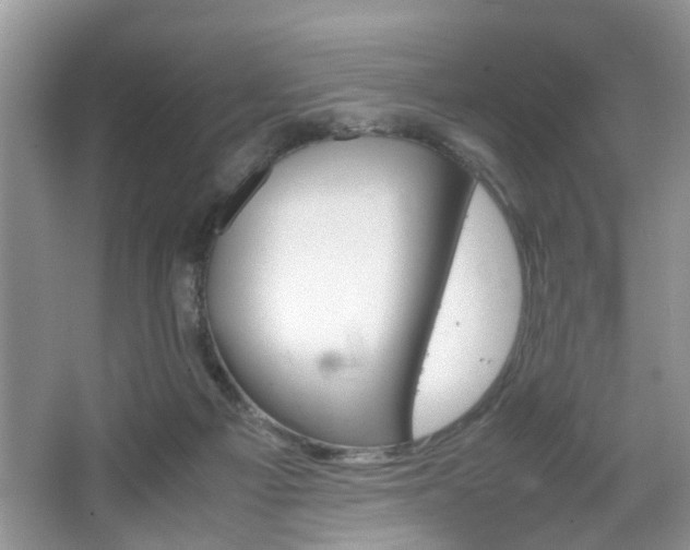 X0000067910121200604131119