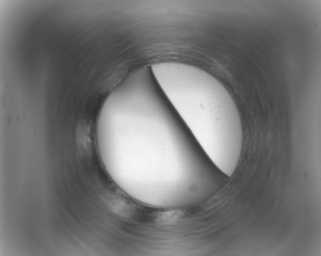 X0000067910122200604131119