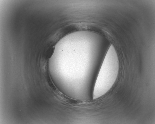 X0000067910125200604131118