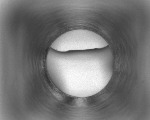 X0000067910126200604131118