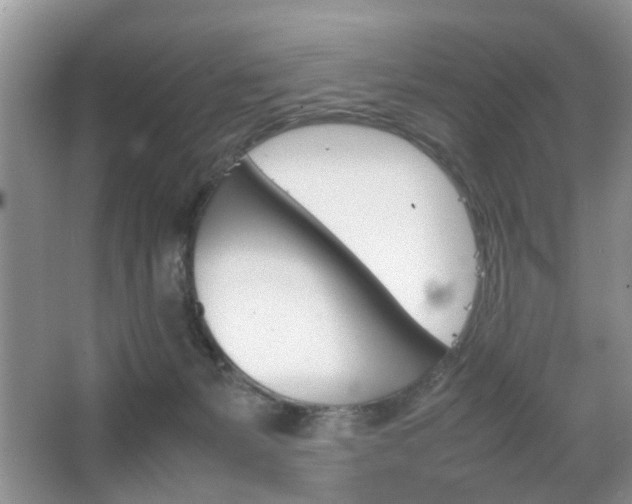 X0000067910127200604131118