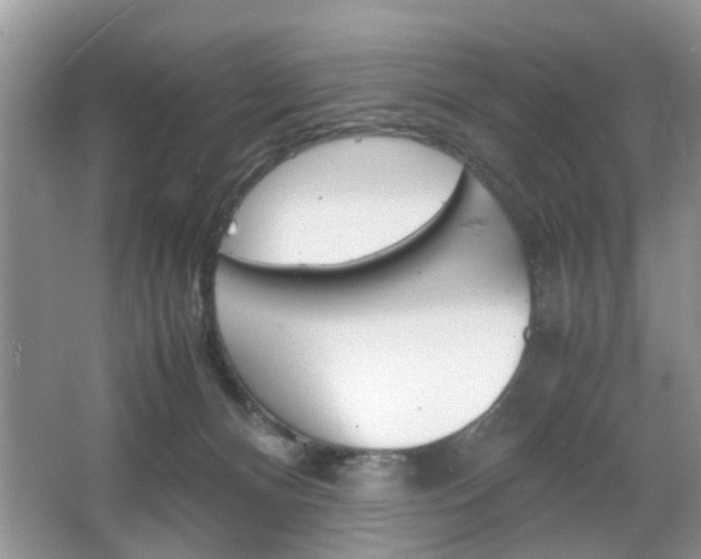 X0000067910128200604131118