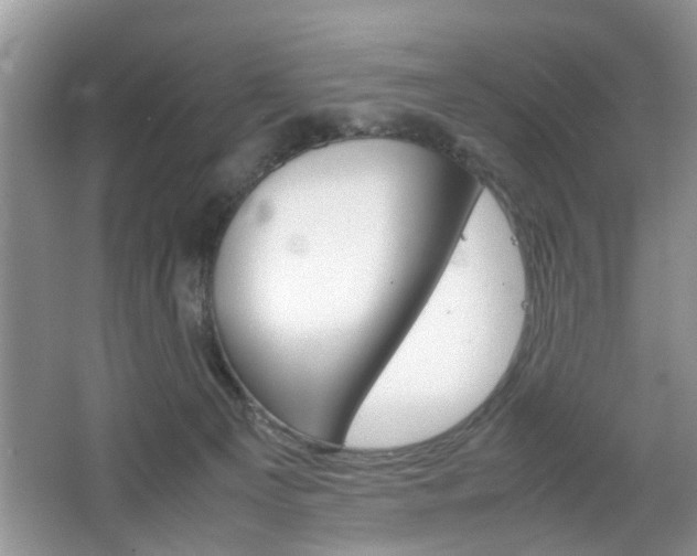 X0000067910129200604131118