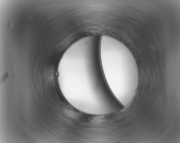 X0000067910132200604131118