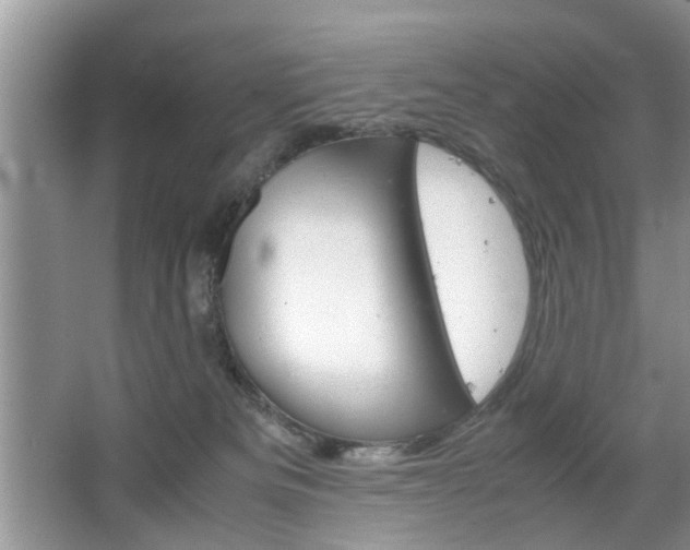 X0000067910133200604131118