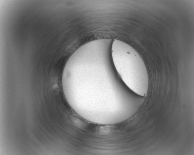 X0000067910134200604131118