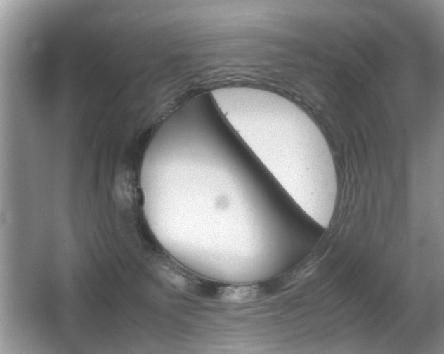 X0000067910135200604131118