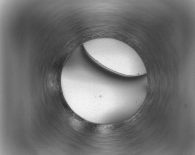 X0000067910136200604131118