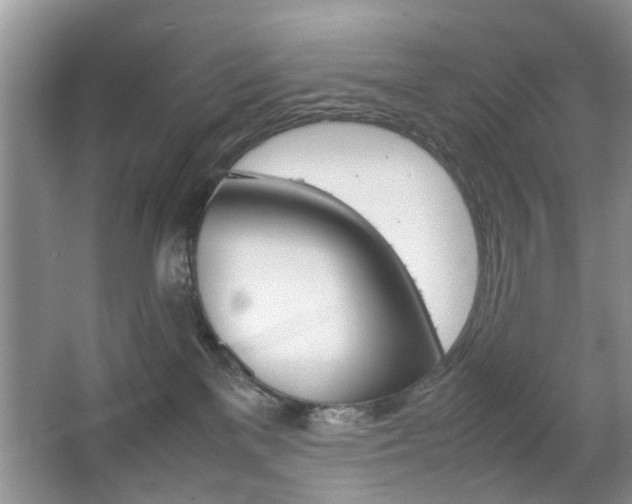 X0000067910137200604131118