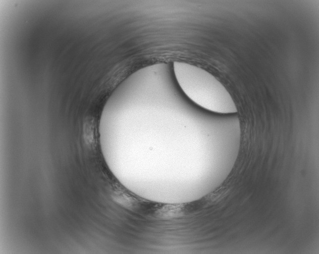 X0000067910138200604131118