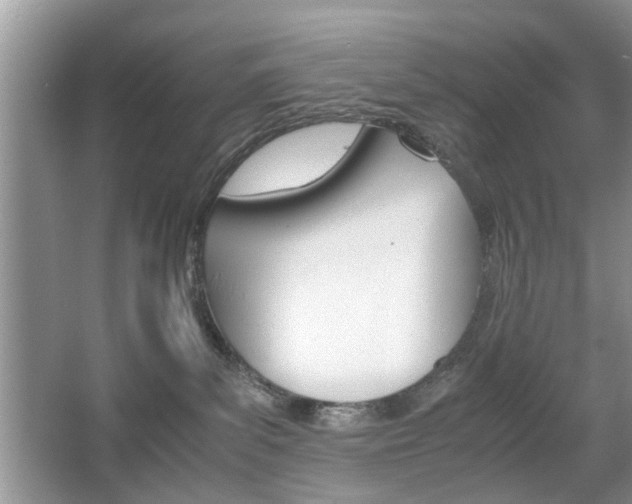 X0000067910139200604131118