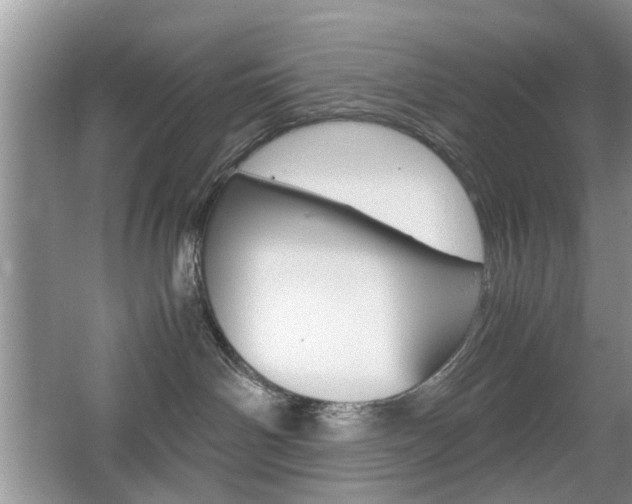 X0000067910142200604131118