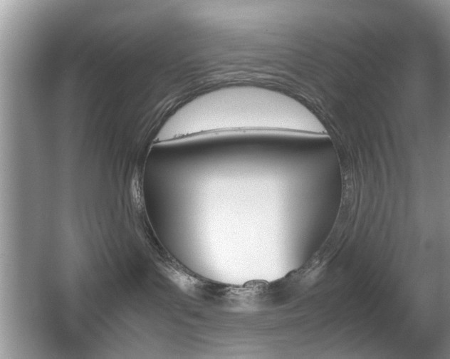 X0000067910143200604131118