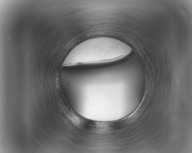 X0000067910144200604131118