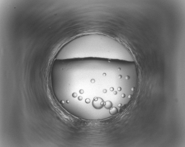 X0000067910145200604131117