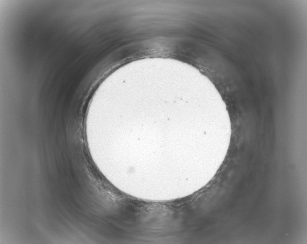 X0000067910146200604131117